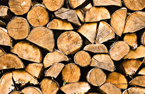 Firewood