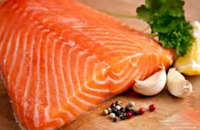 Salmon